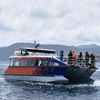 15m(49ft) 50 Persons Catamaran Inboard Passenger Boat