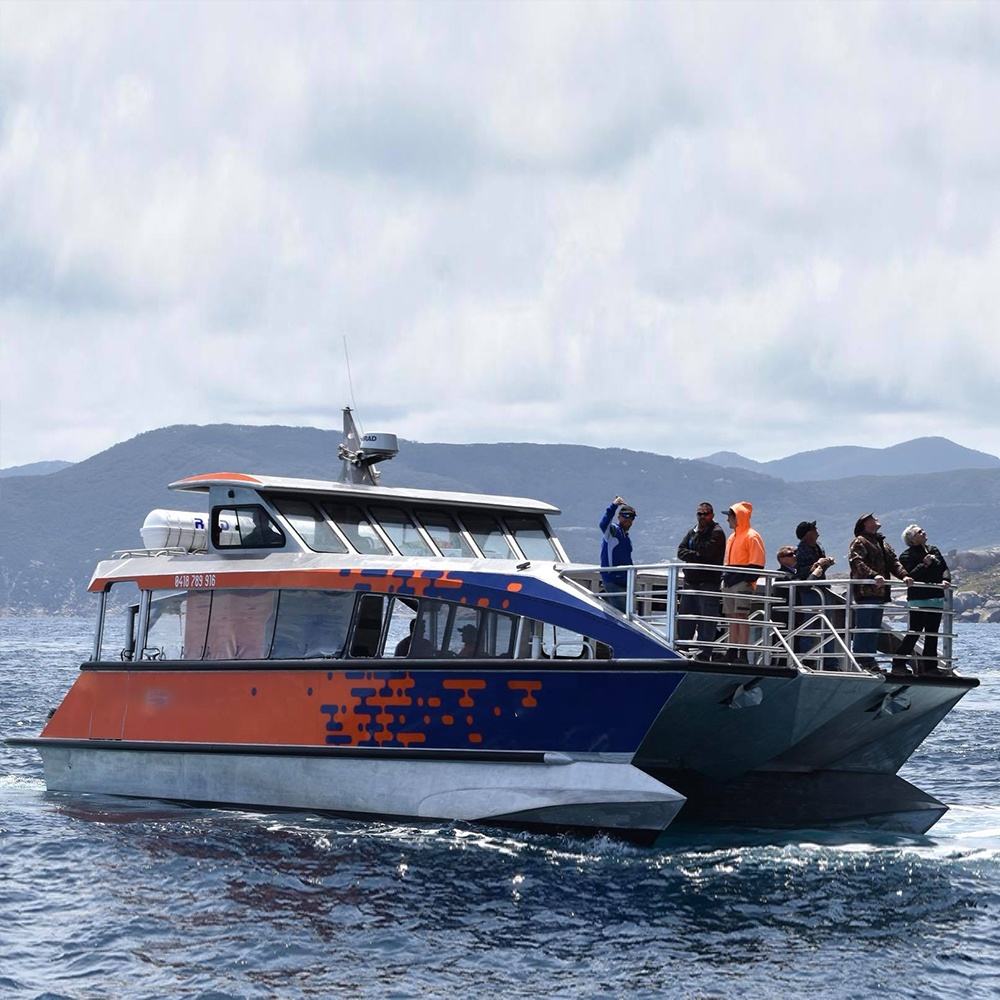 15m(49ft) 50 Persons Catamaran Inboard Passenger Boat