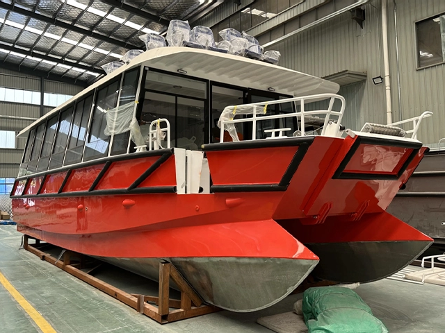 crop_1751525507381
