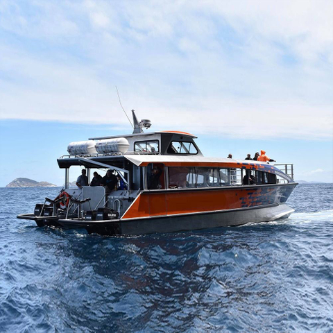 15m(49ft) 50 Persons Catamaran Inboard Passenger Boat