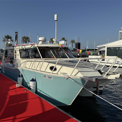 10m 33ft Luxury Aluminium Catamaran Fishing Boat