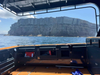 10m(36ft) Welded Aluminum Catamaran Cabin Fishing Boat